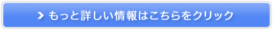 IrXpNAV[Y gCAZbg̔TCg